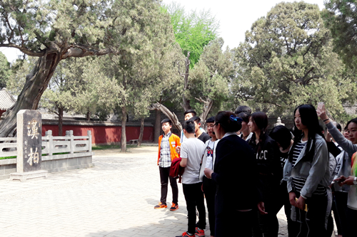 涉外旅游专业学生到岱庙参观