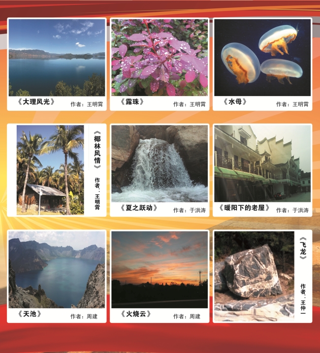 校区教学党支部组织“2016精彩瞬间”主题摄影展