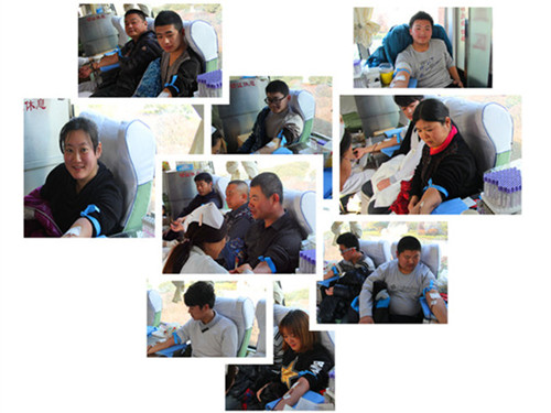 学校组织师生参加无偿献血活动