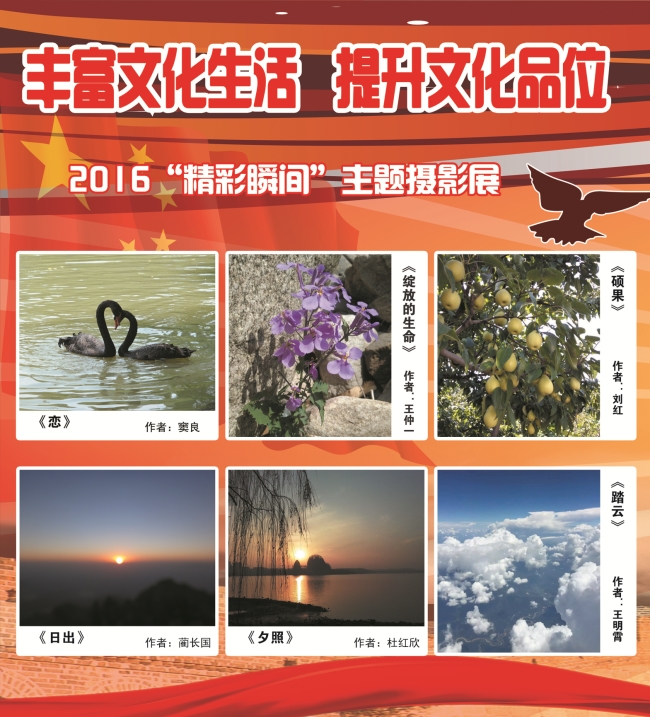 校区教学党支部组织“2016精彩瞬间”主题摄影展