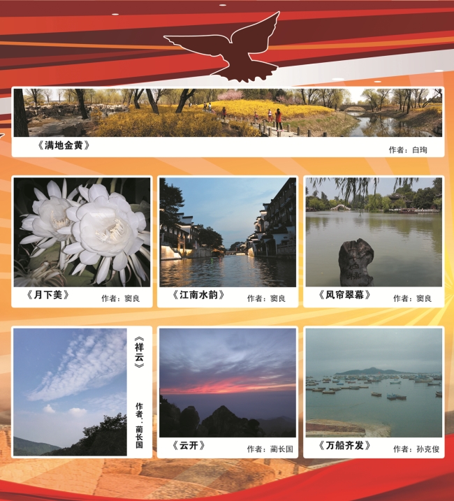 校区教学党支部组织“2016精彩瞬间”主题摄影展